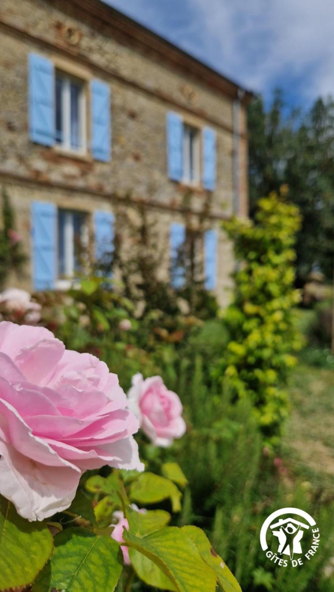 Aux Roses De Cedres Chambre Savane Salvagnac Экстерьер фото
